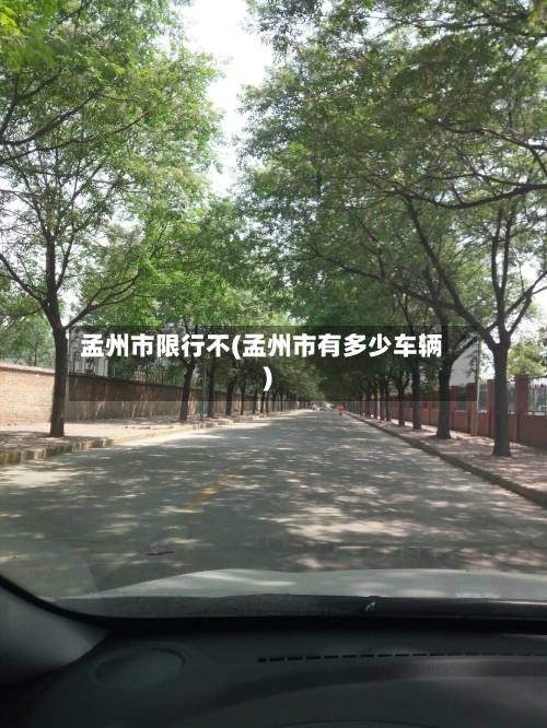 孟州市限行不(孟州市有多少车辆)