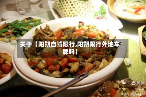 关于【阳朔自驾限行,阳朔限行外地车牌吗】-第2张图片