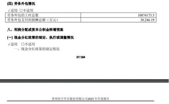星宇股份再现重大财报差错	，2.44万亿外包费用？